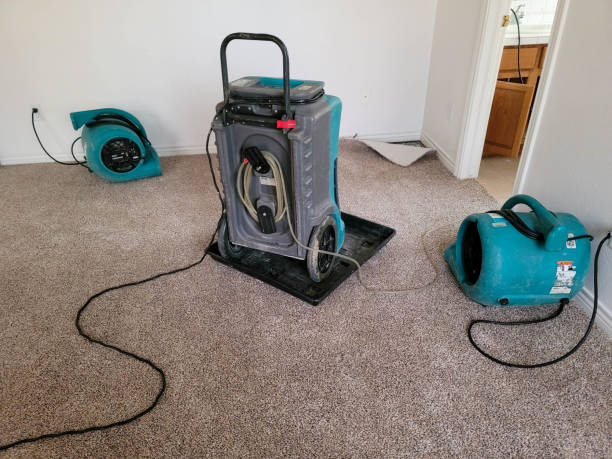  Notasulga, AL Water damage restoration Pros