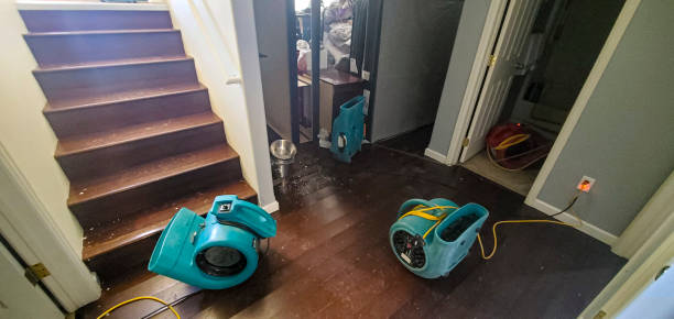 Best Local water damage restoration  in Notasulga, AL
