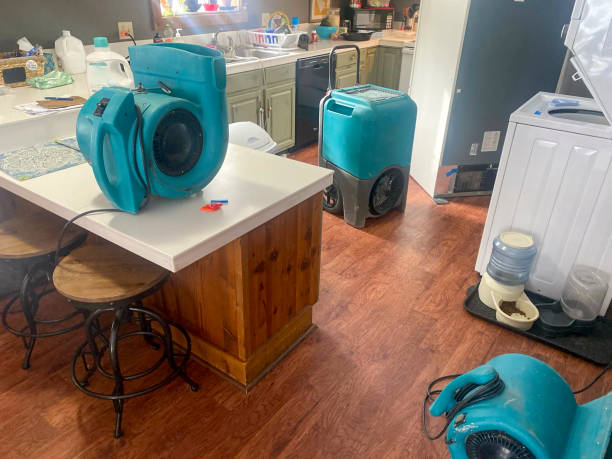 Best Professional water damage repair  in Notasulga, AL