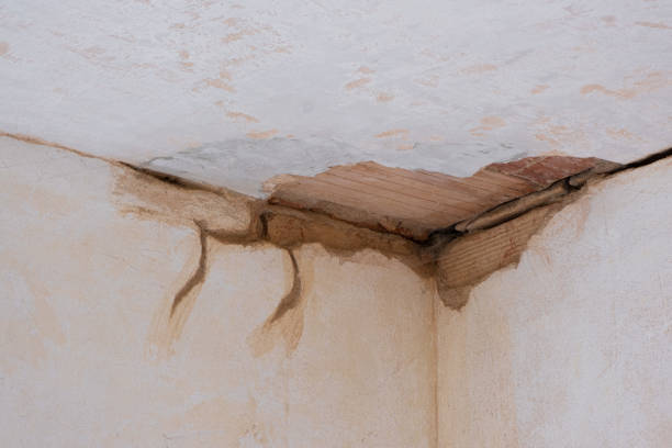 Best Emergency water damage restoration  in Notasulga, AL