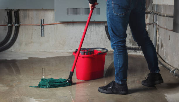 Best Water damage mitigation services  in Notasulga, AL