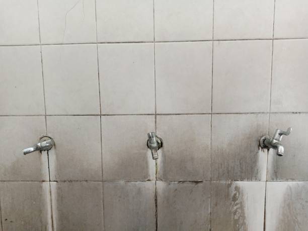 Best Flood restoration services  in Notasulga, AL