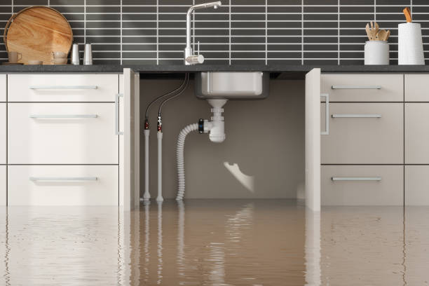 Best Emergency water damage restoration  in Notasulga, AL