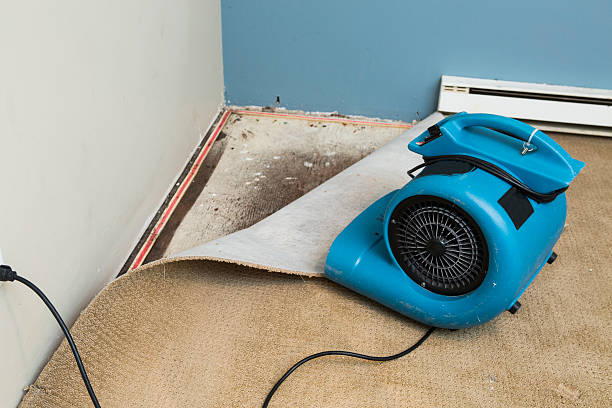 Best Mold removal after water damage  in Notasulga, AL